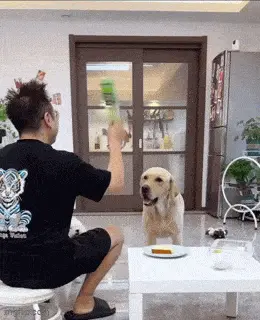 Gifdump Nr. 93 (LangweileDich.net)