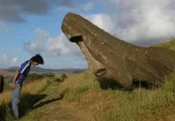 Picdump Nr. 250110 (Barnorama.com)