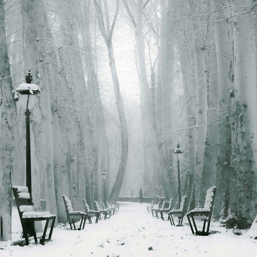 Best of Unsplash Nr. 1/2025