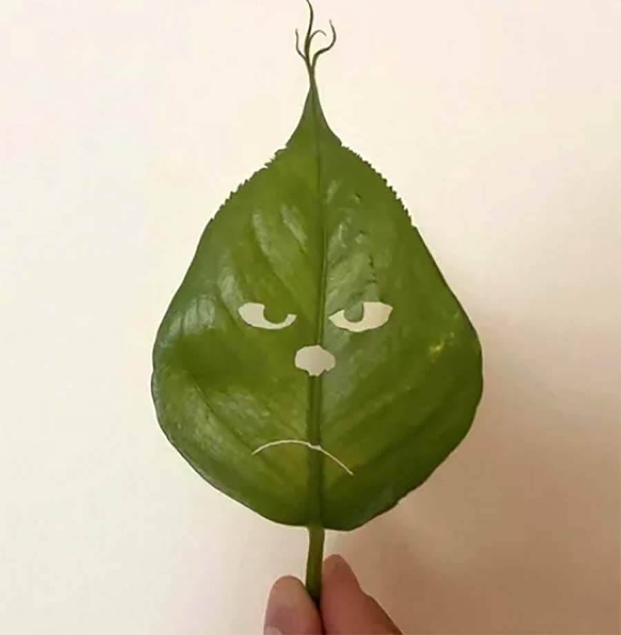 Picdump Nr. 846 (LangweileDich.net)