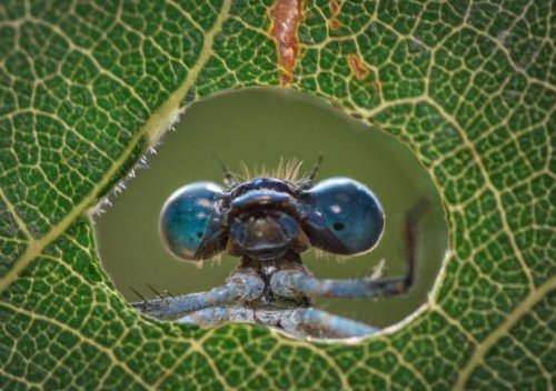 Picdump Nr. 814 (TrendMutti.com)