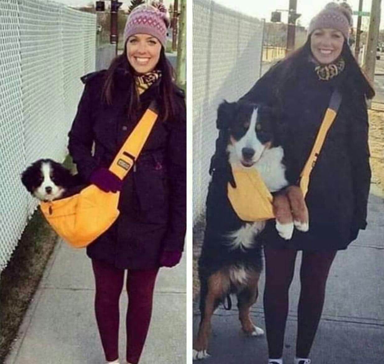 Picdump Nr. 862 (LangweileDich.net)