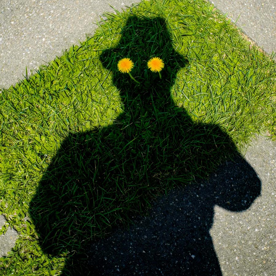 Picdump Nr. 05/2025 (Best of Unsplash)