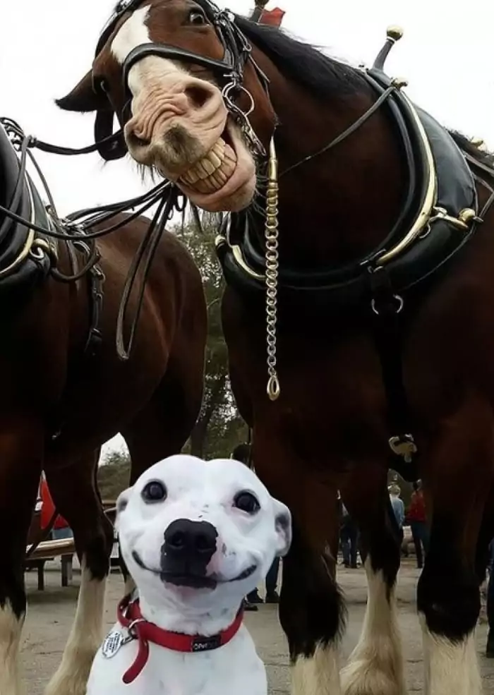 Picdump Nr. 137 (Schmunzeln.net)