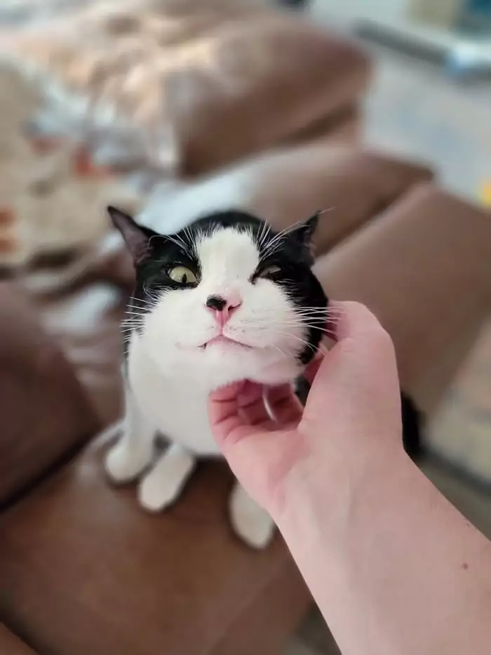 Picdump Nr. 138 (Schmunzeln.net)