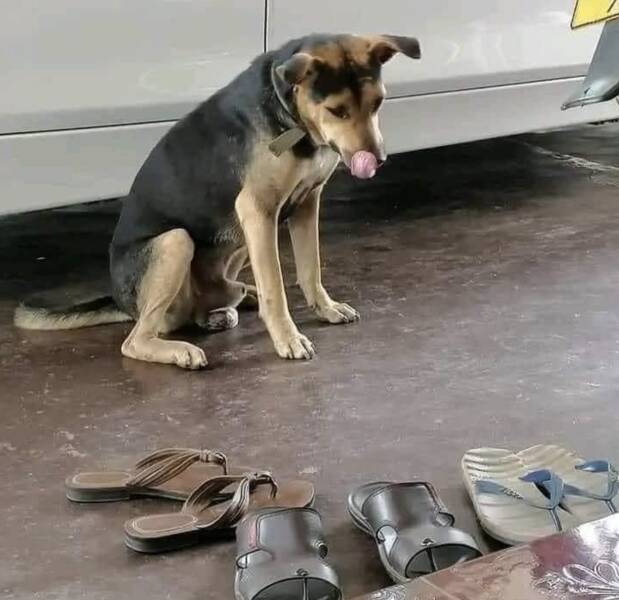 Picdump Nr. 250531 (Barnorama.com)