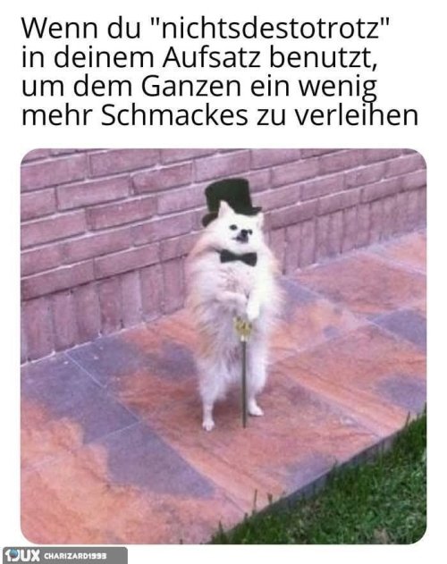 Picdump Nr. 828 (TrendMutti.com)