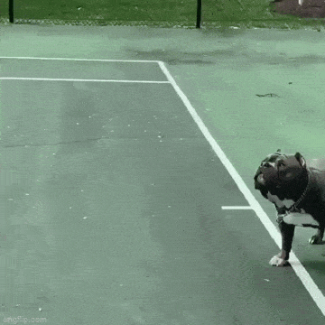 Gifdump Nr. 148 (LangweileDich.net)