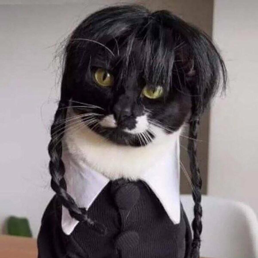 Picdump Nr. 146 (serieslyAWESOME.tv)