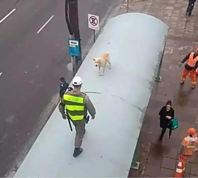 Picdump Nr. 755 (isnichwahr.de)