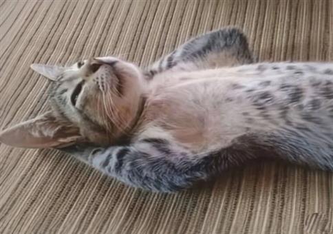 Picdump Nr. 951 (Hornoxe.com)