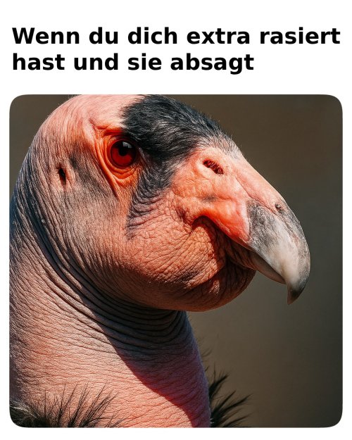 Picdump Nr. 831 (TrendMutti.com)