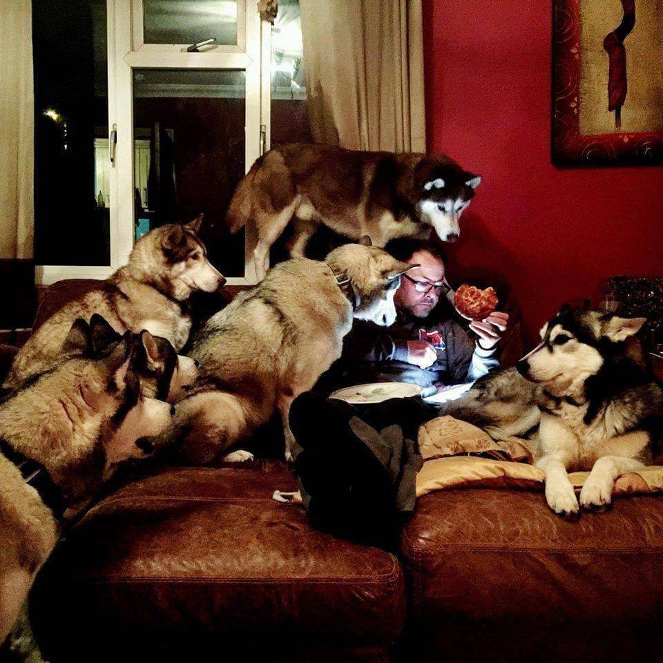 Picdump Nr. 878 (LangweileDich.net)