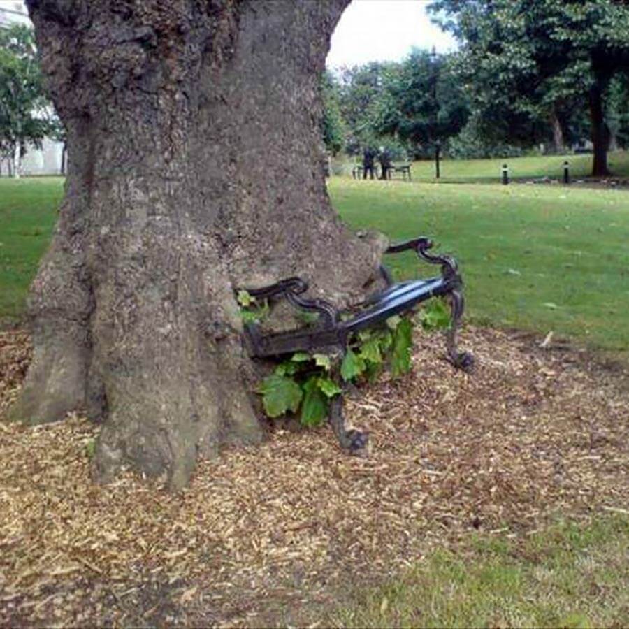 Picdump Nr. 877 (LangweileDich.net)