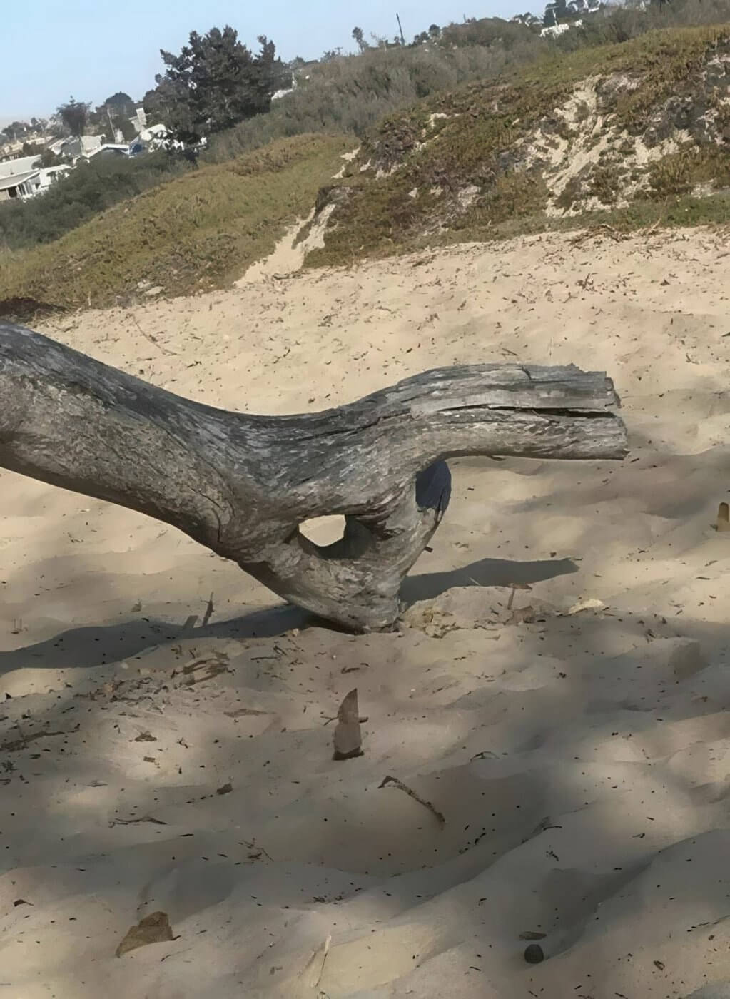 Picdump Nr. 876 (LangweileDich.net)