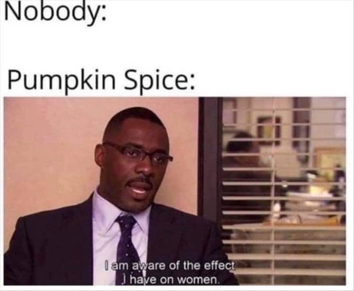 Picdump Nr. 250920 (Barnorama.com)