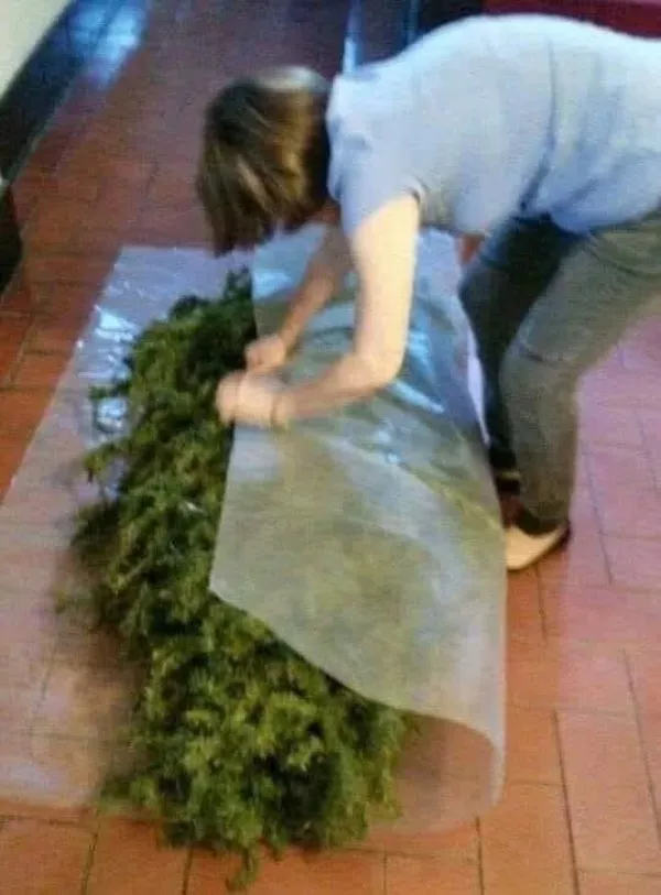 Picdump Nr. 1081 (Pauznet.com)