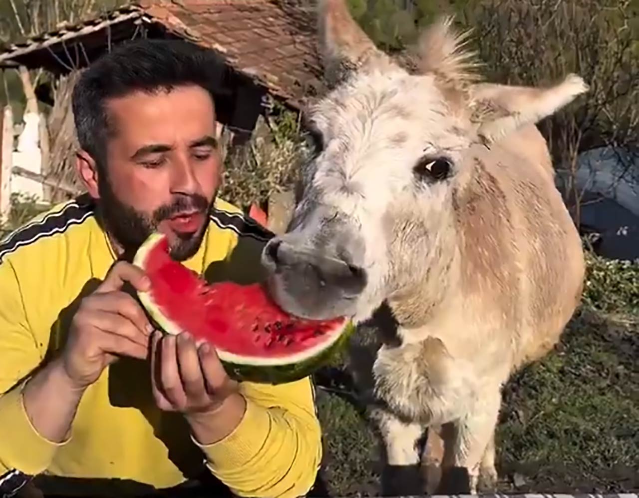 Fluffdump Nr. 108 (LangweileDich.net)