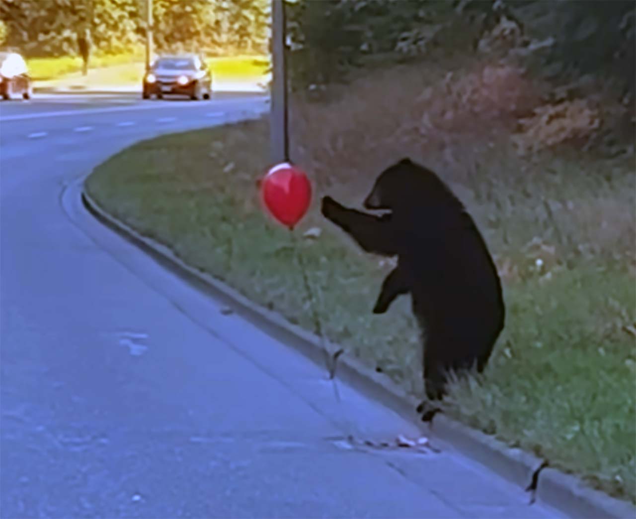 Fluffdump Nr. 109 (LangweileDich.net)