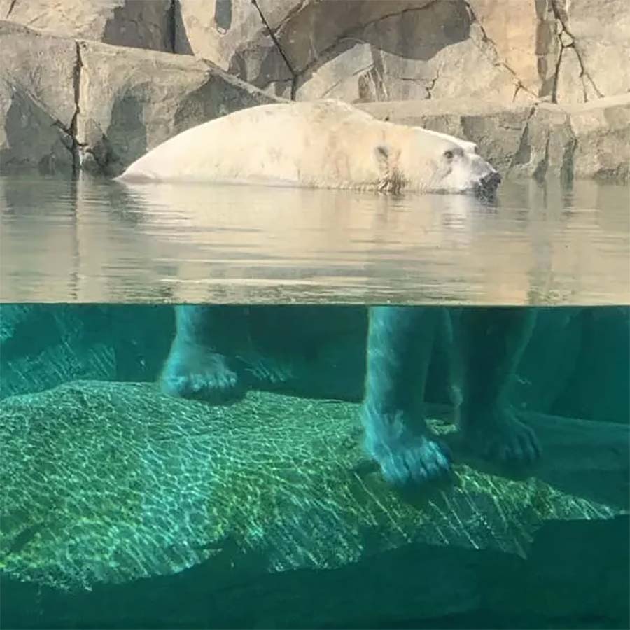 Picdump Nr. 1080 (Pauznet.com)