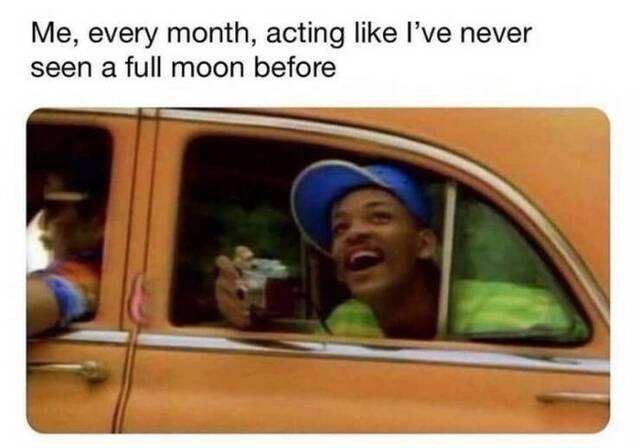 Picdump Nr. 35/2025 (Bildschirmarbeiter.com)