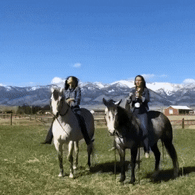 Gifdump Nr. 789 (TrendMutti.com)