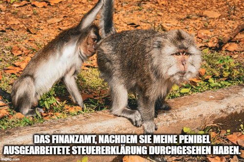 Picdump Nr. 836 (TrendMutti.com)