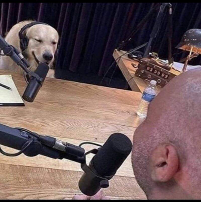 Picdump Nr. 4321 (Skoften.net)