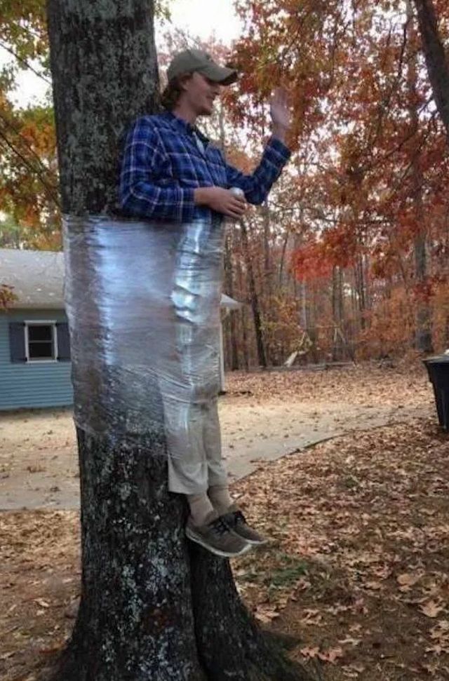 Picdump Nr. 251008 (Piximus.net)