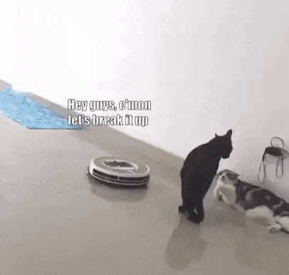 Gifdump Nr. 251002 (Barnorama.com)