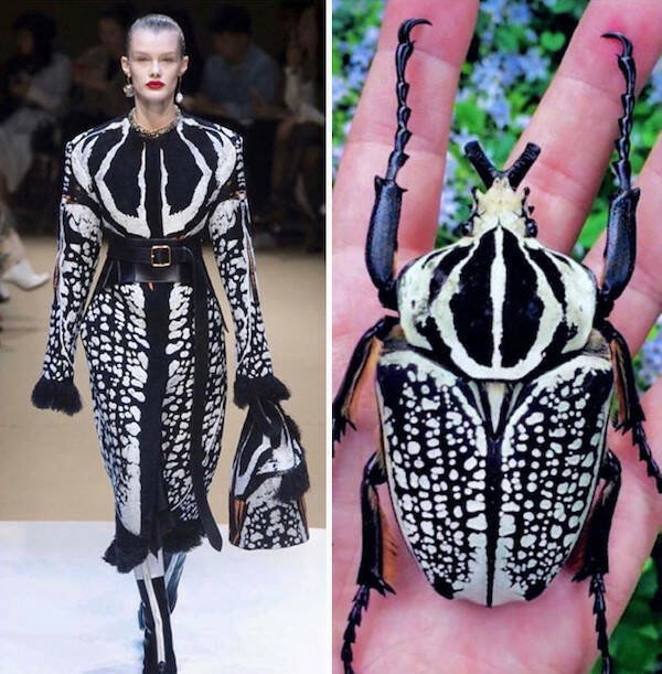 Picdump Nr. 251003 (Barnorama.com)