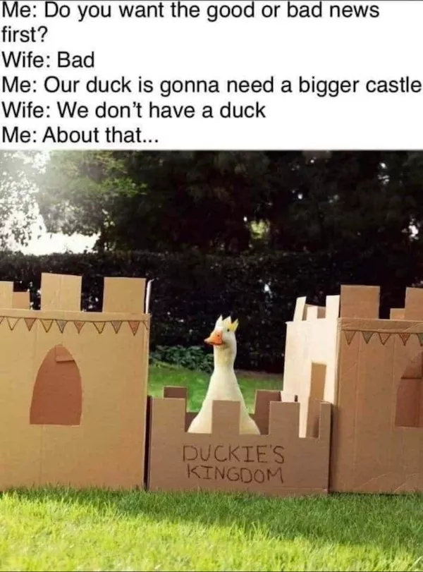 Picdump Nr. 1114 (Pauznet.com)