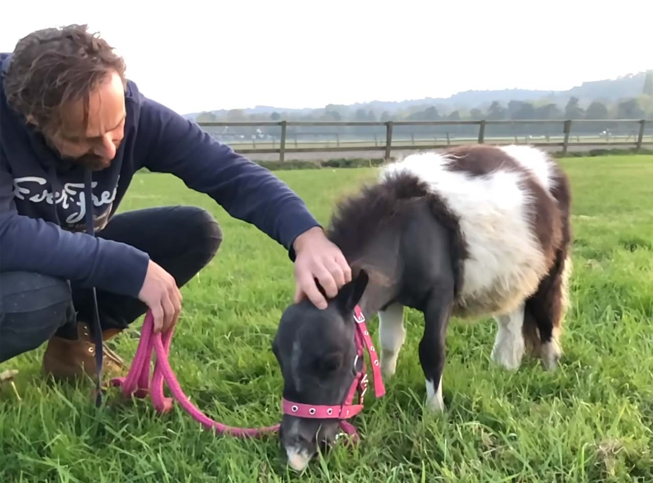 Fluffdump Nr. 112 (LangweileDich.net)