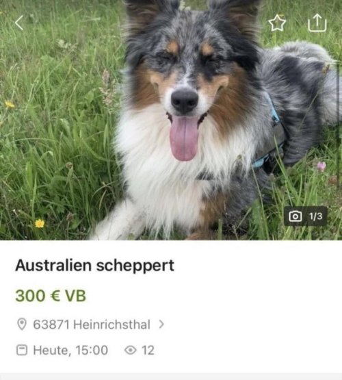 Picdump Nr. 841 (TrendMutti.com)