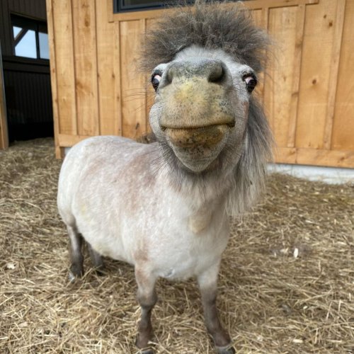 Picdump Nr. 840 (TrendMutti.com)