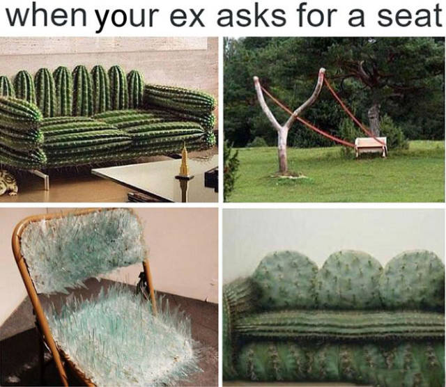 Picdump Nr. 251112 (Barnorama.com)