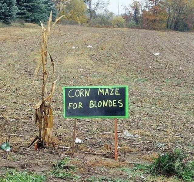 Picdump Nr. 251120 (Barnorama.com)