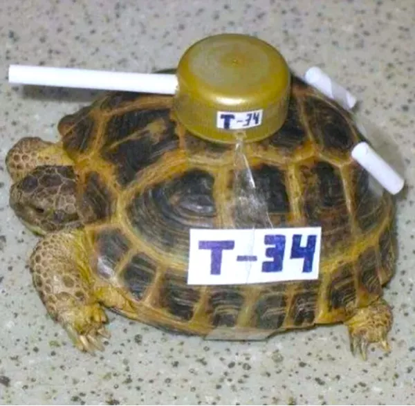 Picdump Nr. 1180 (Pauznet.com)