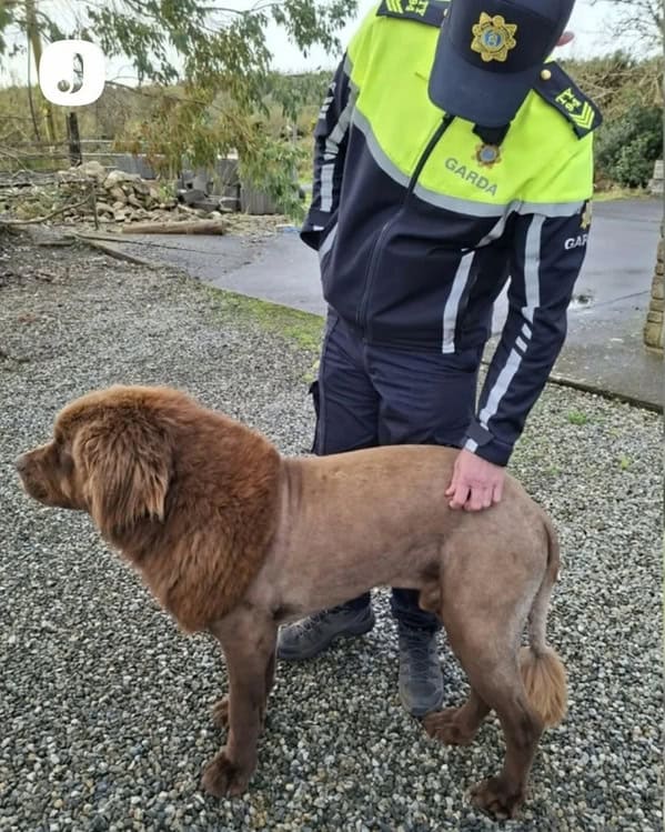 Picdump Nr. 251128 (Pleated-Jeans.com)