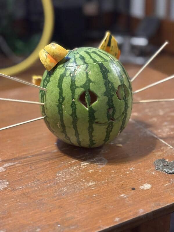 Picdump Nr. 251031 (Pleated-Jeans.com)