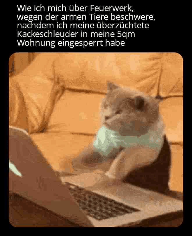 Gifdump Nr. 798 (TrendMutti.com)