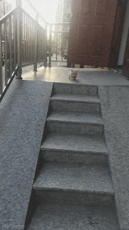 Gifdump Nr. 795 (TrendMutti.com)