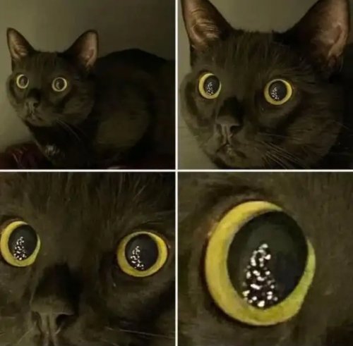 Picdump Nr. 844 (TrendMutti.com)