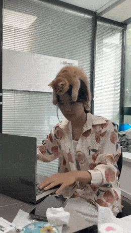 Gifdump Nr. 251205 (Barnorama.com)