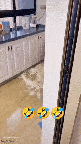 Gifdump Nr. 251225 (Barnorama.com)