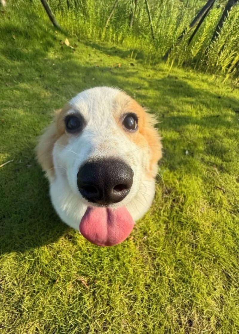 Picdump Nr. 4397 (Skoften.net)