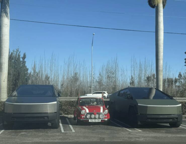 Picdump Nr. 251217 (Barnorama.com)