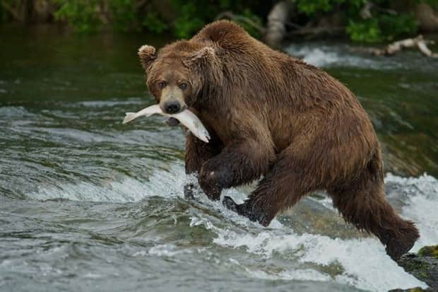 Picdump Nr. 1865 (Klyker.com)