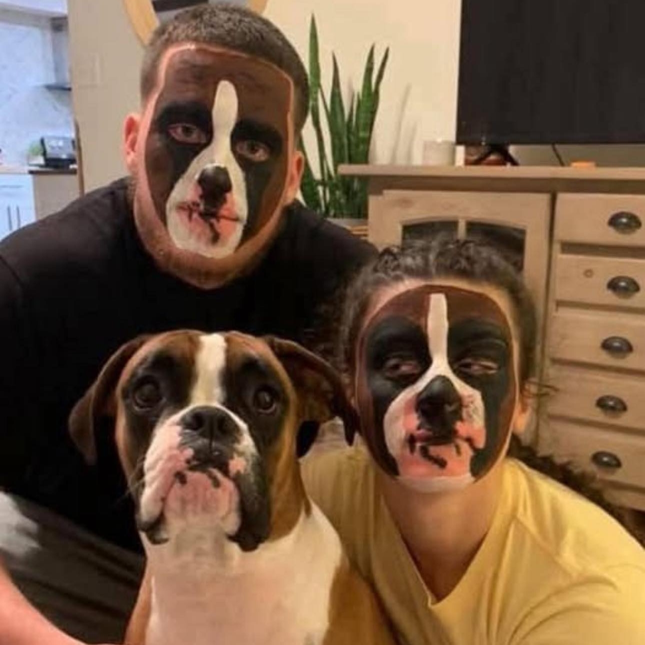 Picdump Nr. 251226 (Zefirka.net)