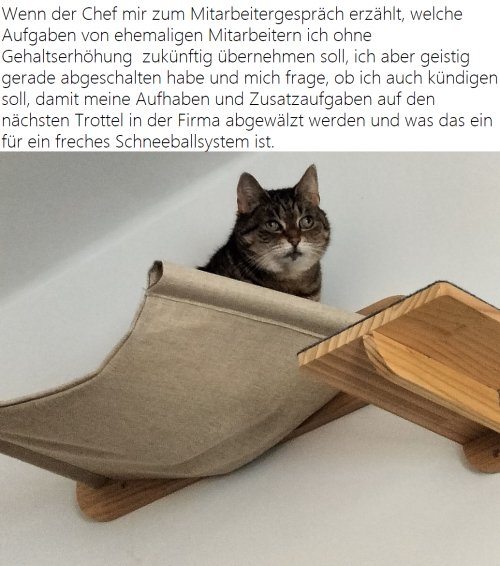 Picdump Nr. 848 (TrendMutti.com)